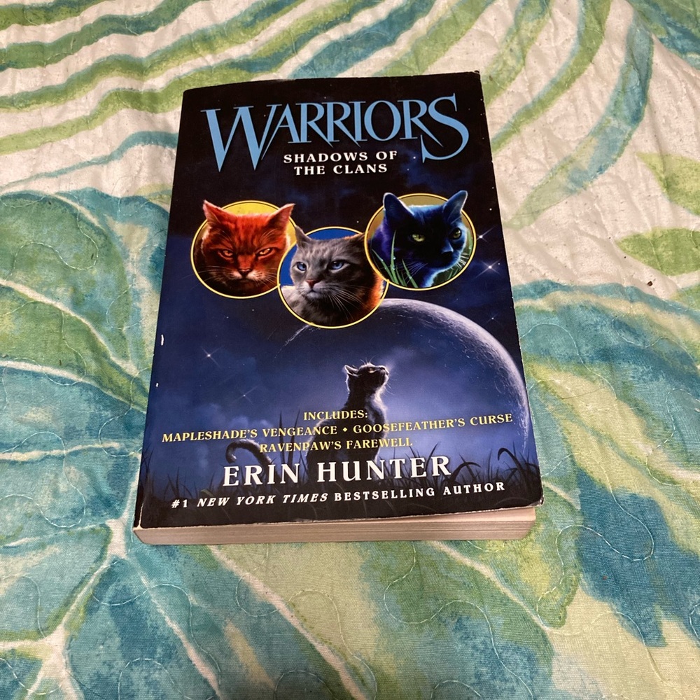 Warrior cats book